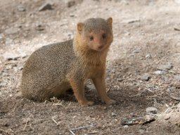 Western_Corridor2009-124